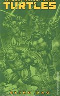 Teenage Mutant Ninja Turtles (2024 IDW) 13F