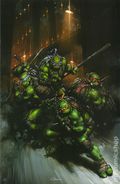 Teenage Mutant Ninja Turtles (2024 IDW) 13RIB