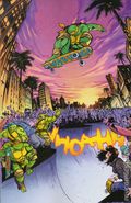 Teenage Mutant Ninja Turtles (2024 IDW) 13RIC