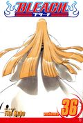 Bleach TPB (2004-2018 Viz) 36-REP