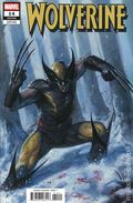 Wolverine (2024 Marvel) 14D