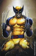 Wolverine (2024 Marvel) 14F