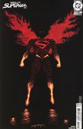Absolute Superman (2024 DC) 15D