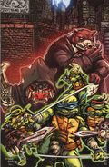 Teenage Mutant Ninja Turtles (2024 IDW) 14RIA