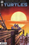 Teenage Mutant Ninja Turtles (2024 IDW) 14RIB