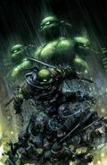 Teenage Mutant Ninja Turtles the Last Ronin the Lost Years (2022 IDW) 1CRAIN.A