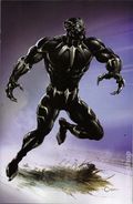 Black Panther Intergalactic (2025 Marvel) 2D