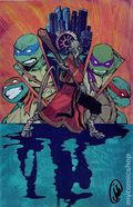 Teenage Mutant Ninja Turtles (2024 IDW) 1CSA