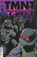 Teenage Mutant Ninja Turtles Journeys (2025 IDW) 6B