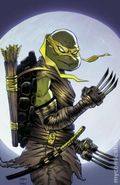 Teenage Mutant Ninja Turtles (2011 IDW) 98OASAS.A