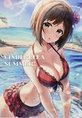 Cinderella Summer (Japanese 2012 Ashiromance) 1