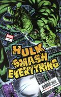 Hulk Smash Everything (2025 Marvel) 3A