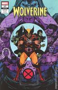 Wolverine (2024 Marvel) 17B