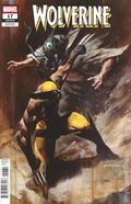 Wolverine (2024 Marvel) 17C
