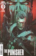 Marvel Knights Punisher (2025 Marvel) 4B