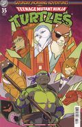 Teenage Mutant Ninja Turtles Saturday Morning Adventures (2023 IDW) 35C