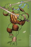 Teenage Mutant Ninja Turtles (2024 IDW) 3UNKNOWN