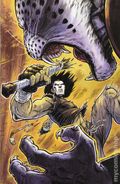 Teenage Mutant Ninja Turtles Casey Jones (2025 IDW) 6RI