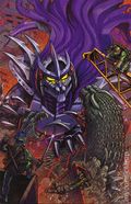 Teenage Mutant Ninja Turtles X Godzilla (2025 IDW) 5RI