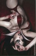 Vampirella Dead Flowers (2023 Dynamite) 1FERGUSON