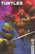 Teenage Mutant Ninja Turtles (2024 IDW) 17C