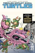 Teenage Mutant Ninja Turtles (2024 IDW) 3WEBSTER.A
