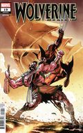 Wolverine (2024 Marvel) 19D