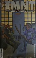 Teenage Mutant Ninja Turtles Journeys (2025 IDW) 8RI