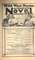 Wild West Stories and Complete Novel Magazine (1925-1939 Teck) Pulp 45