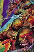 Teenage Mutant Ninja Turtles (2024 IDW) 1GIANG.B
