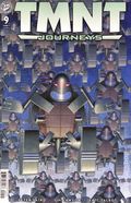 Teenage Mutant Ninja Turtles Journeys (2025 IDW) 9A