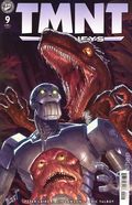 Teenage Mutant Ninja Turtles Journeys (2025 IDW) 9B