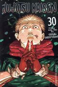 Jujutsu Kaisen GN (2020-2026 Viz) 30-1ST