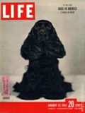 Life (1883-2000 Clair Maxwell/Life Publishing Company) Magazine Jan 31 1949