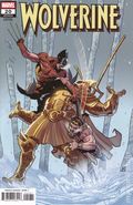 Wolverine (2024 Marvel) 20C