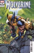 Wolverine (2024 Marvel) 20F