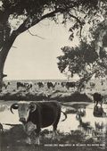 Life (1883-2000 Clair Maxwell/Life Publishing Company) Magazine Jul 10 1944