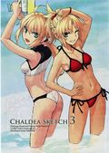 Chaldea Sketch (Japanese 2016 Closet Child) 3
