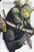 Teenage Mutant Ninja Turtles (2011 IDW) 97DOUBLE