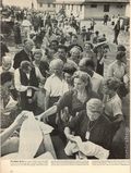 Life (1883-2000 Clair Maxwell/Life Publishing Company) Magazine Aug 21 1944