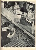 Life (1883-2000 Clair Maxwell/Life Publishing Company) Magazine May 10 1937