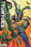 Teenage Mutant Ninja Turtles (2024 IDW) 18RIC