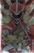 Mighty Morphin Power Rangers Teenage Mutant Ninja Turtles III (2025 Boom) 4H