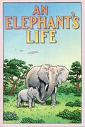 An Elephant's Life (1999 Elephant Action Project) 1