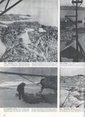 Life (1883-2000 Clair Maxwell/Life Publishing Company) Magazine Jan 14 1946