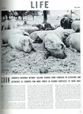 Life (1883-2000 Clair Maxwell/Life Publishing Company) Magazine Jul 19 1943