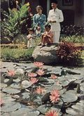Life (1883-2000 Clair Maxwell/Life Publishing Company) Magazine Feb 13 1950