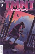 Teenage Mutant Ninja Turtles Journeys (2025 IDW) 10B