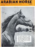 Arabian Horse News (1949-1972 Thomas Y. Funston) Vol. 15 #6