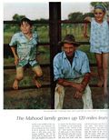 Life (1883-2000 Clair Maxwell/Life Publishing Company) Magazine Dec 22 1967